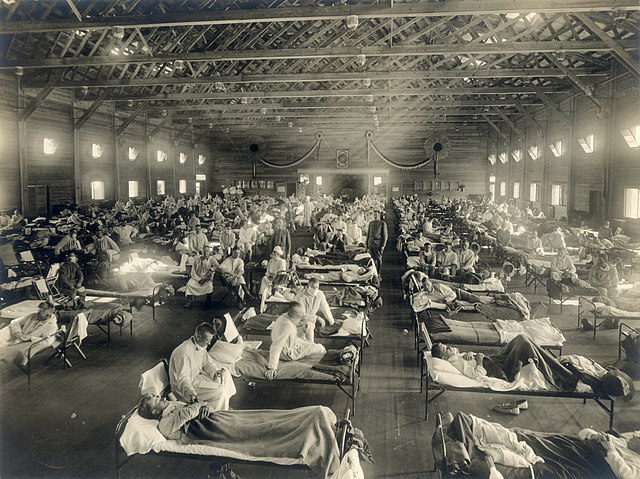 Epidemia grypy hiszpanki